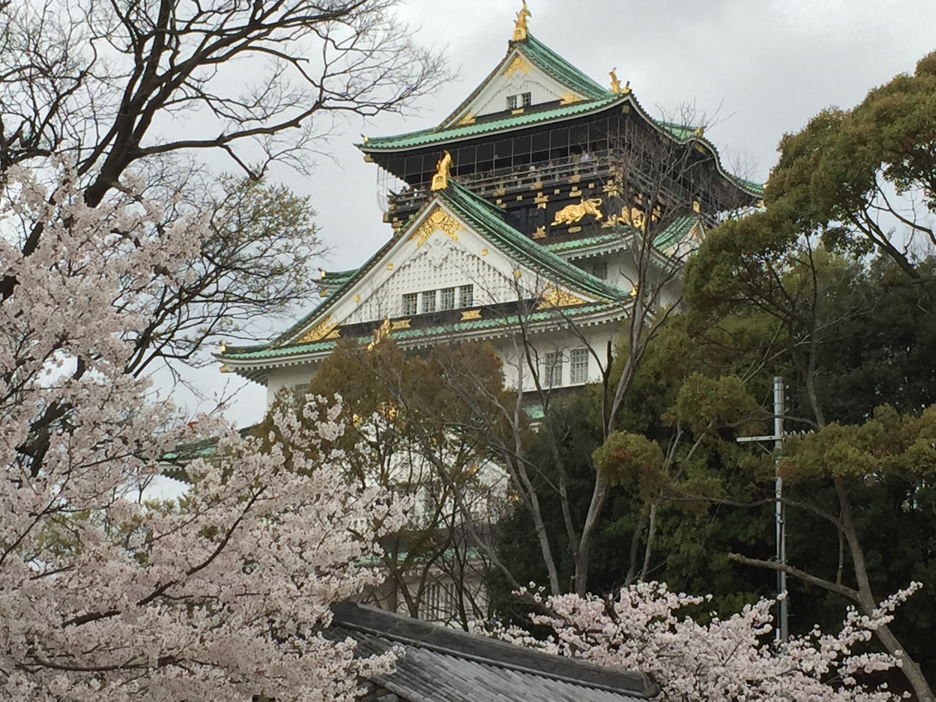 Osaka castle