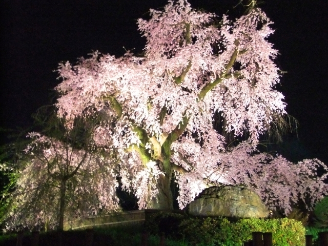 Maruyama Park