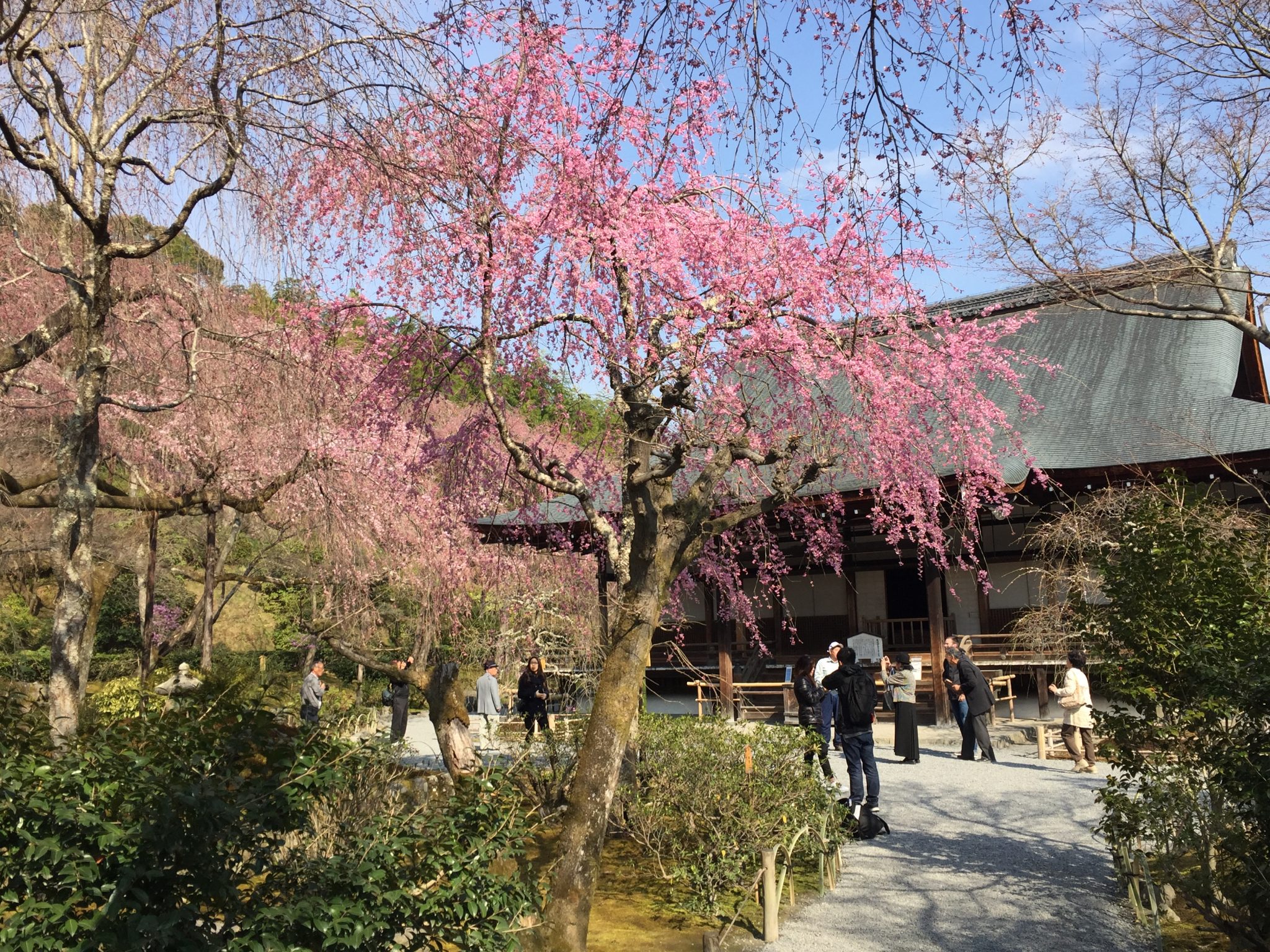 Tenryuji temple