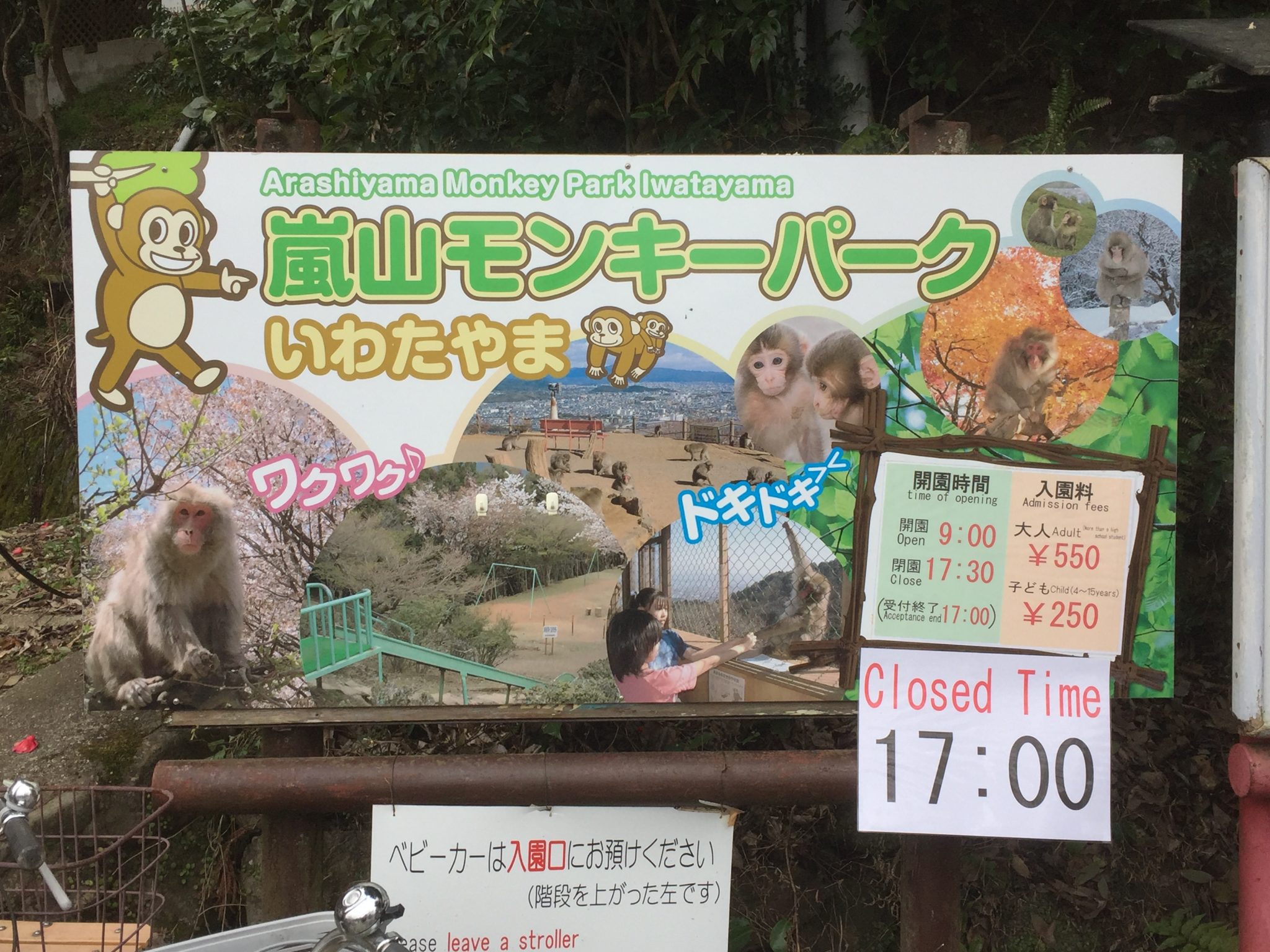 Arashiyama monkey park